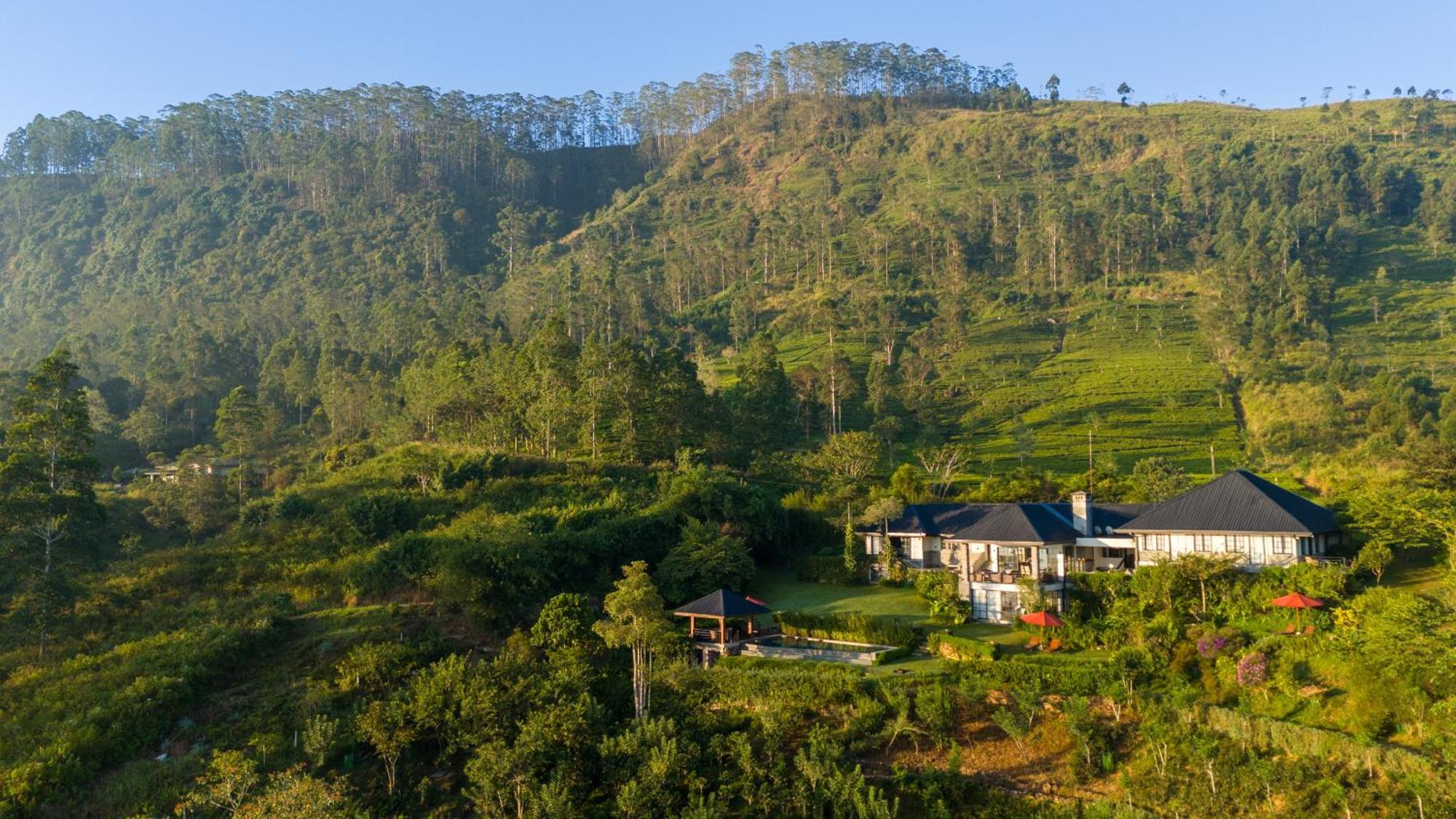 Camellia Hills Hotel Hatton Exterior photo