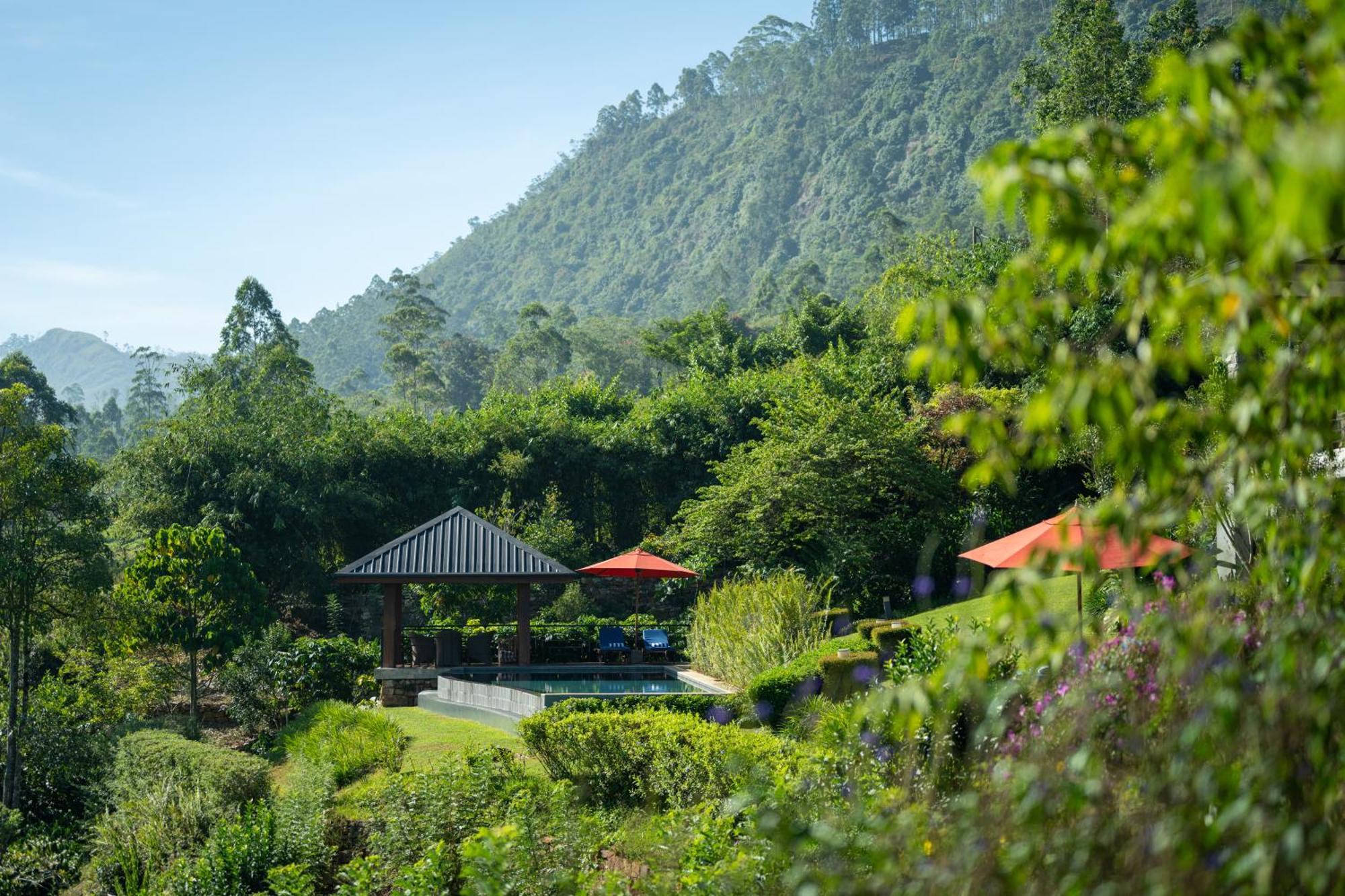Camellia Hills Hotel Hatton Exterior photo